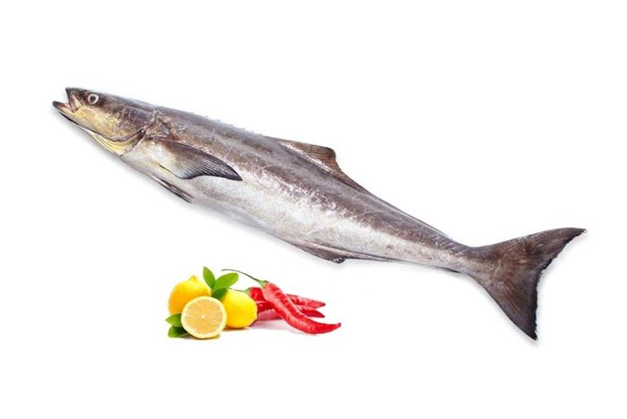 حقایقی در رابطه با ماهی سوکلا و مزایای آن که نمی دانید