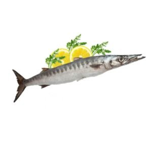 آیا ماهی باراکودا ارزش غذایی دارد؟