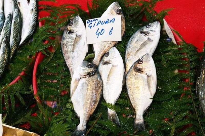 کالری و ارزش غذایی ماهی چیپورا