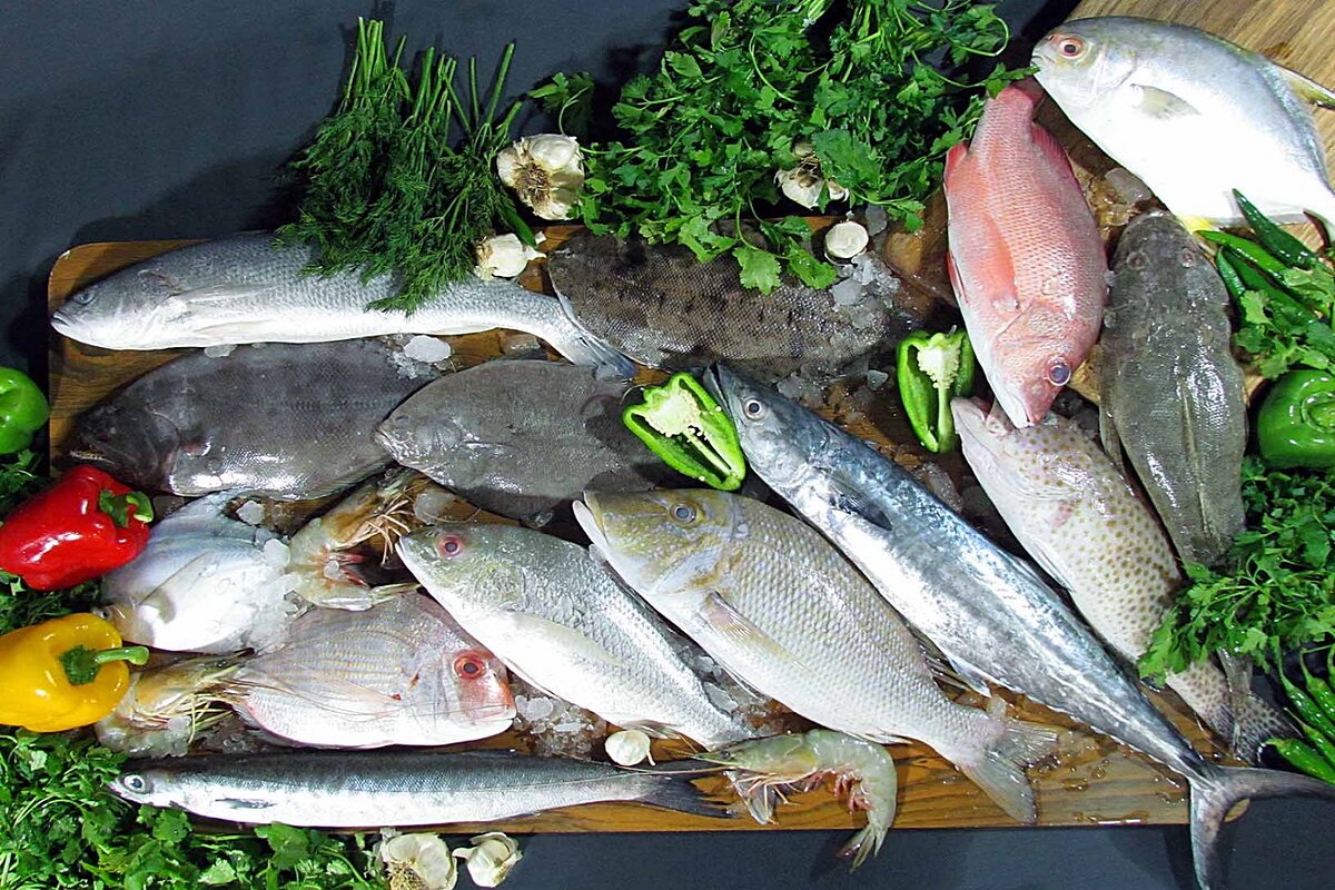 انواع ماهیان خوراکی در ایران