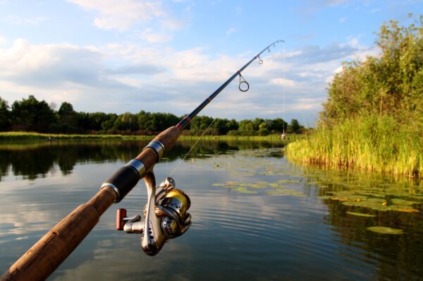 راهنمای ماهیگیری از دریاچه